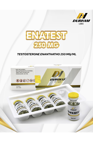 Enatest (Testo enantato) 250mg/ml Durham Labs